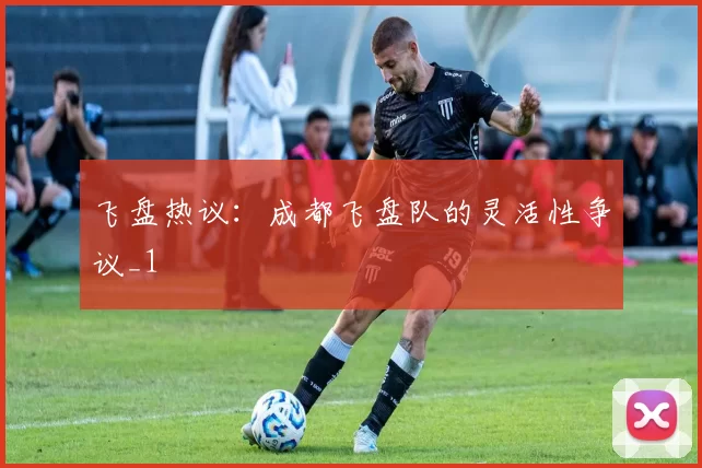 飞盘热议：成都飞盘队的灵活性争议_1