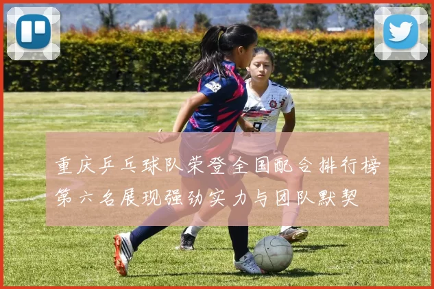 重庆乒乓球队荣登全国配合排行榜第六名展现强劲实力与团队默契