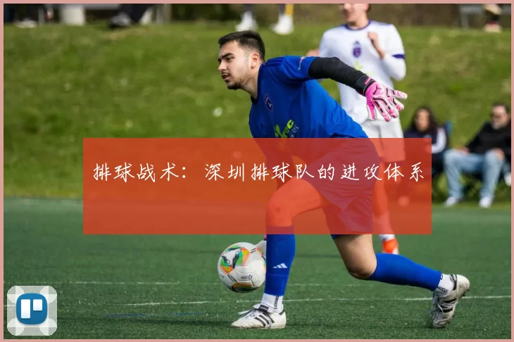 排球战术：深圳排球队的进攻体系