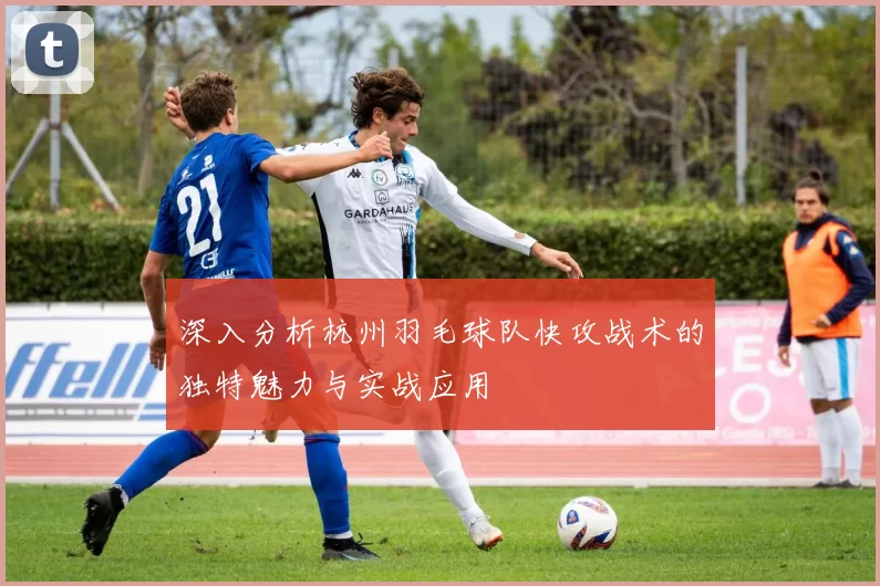 深入分析杭州羽毛球队快攻战术的独特魅力与实战应用